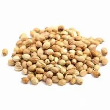 Natural Coriander Seed