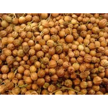 Coriander Seed