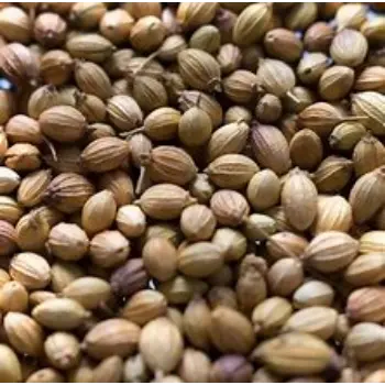 Organic Coriander Seed