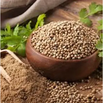 Natural Coriander Seed