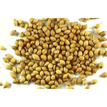 Common Coriander Seed