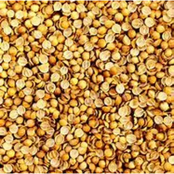 Coriander Seed