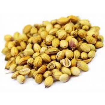 Coriander Seed