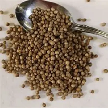 Coriander Seed