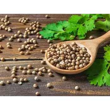 Coriander Seed