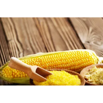 Common  Corn Flour