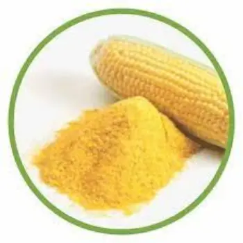 Common Corn Flour