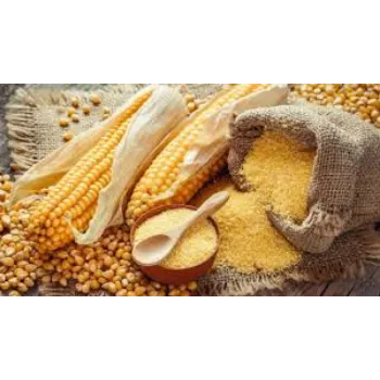 Common Corn Flour