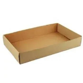 Plain Corrugated Tray Box