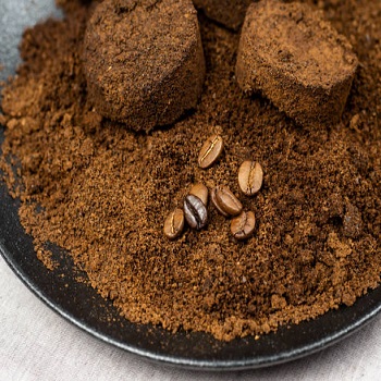 Cotton Seed Oil Cake