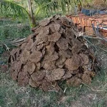 Organic Cow Dung