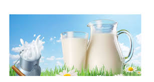 Cow Milk