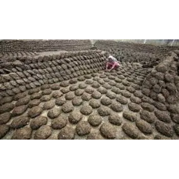 Natural Cow Dung