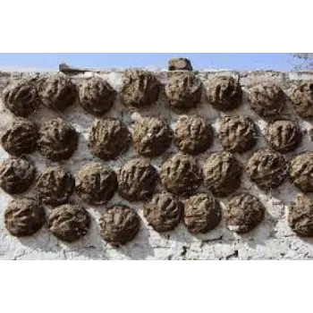 Cow Dung Cake