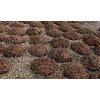 Natural Cow Dung
