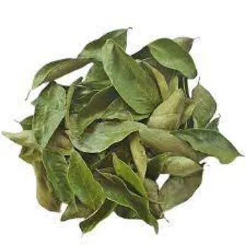 Dried Curry Leaves