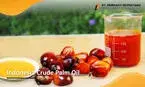 palm olein oil Liquid Blended palm olein oil