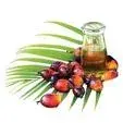 Crude Palm Oil Form  Liquid