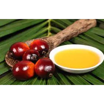 Beneficial Crude Palm Oil