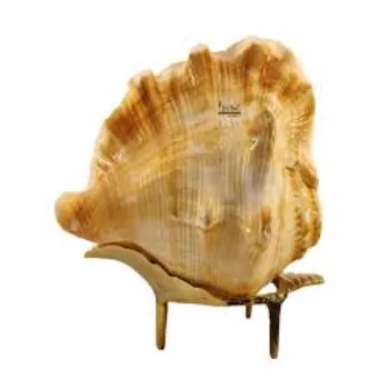  Lorfy crystal Shankh