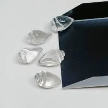 World crystal Shankh