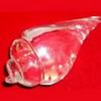 Shree Ram Products Pvt Ltd crystal Shankh