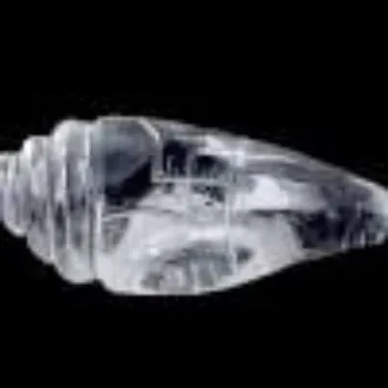 crystal Shankh
