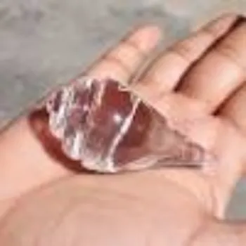 Natural crystal Shankh