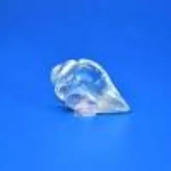 Good Quality crystal Shankh