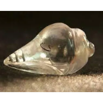 Jai Mahakali Agarbatti Traders crystal Shankh