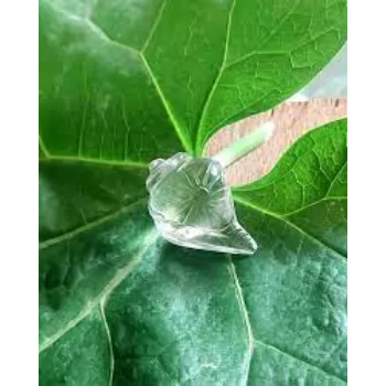 Natural crystal Shankh