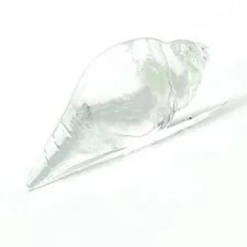 Solid crystal Shankh