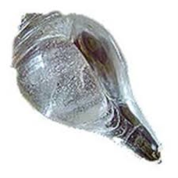 New Crystal Shankh For Worship 