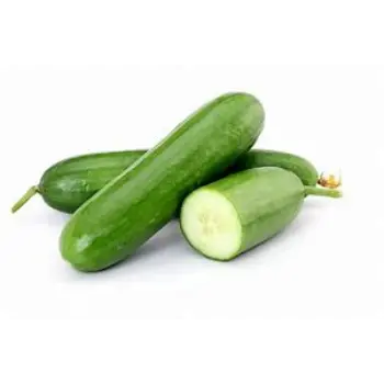 Cucumber