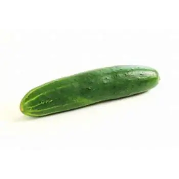 Cucumber