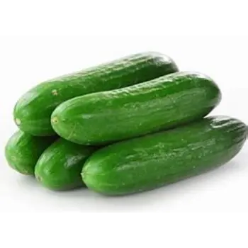 Cucumber