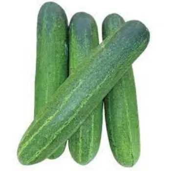 Natural Cucumber