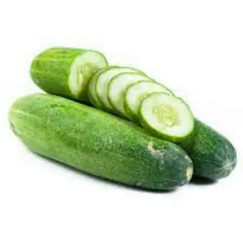 Common Fresh Cucumber