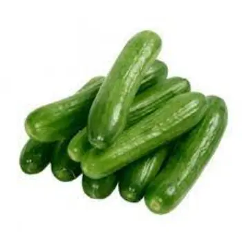 Natural Fresh Cucumber