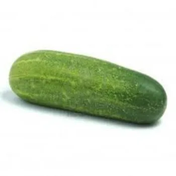 Organic Cucumber