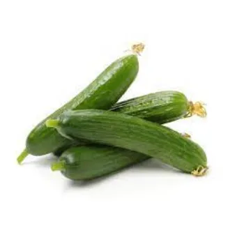 Organic Fresh Cucumber