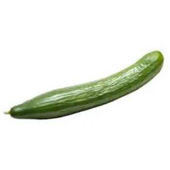 Natural Cucumber
