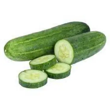 Natural Fresh Cucumber