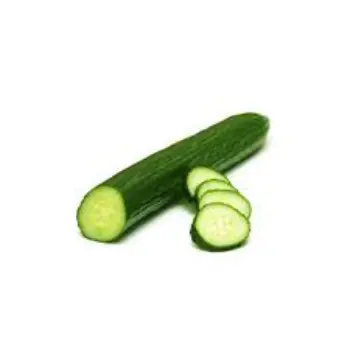 Common Fresh Cucumber