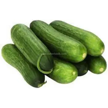 Natural Fresh Cucumber