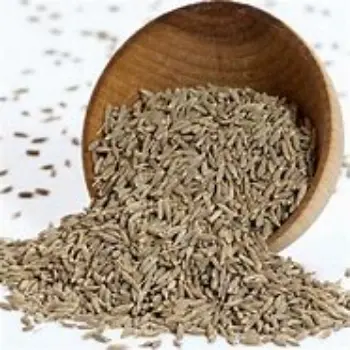 Organic Cumin Seeds