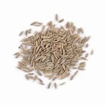 Cumin Seeds