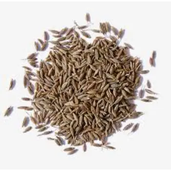 Natural Cumin Seeds