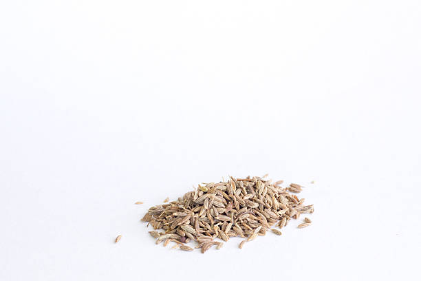 Organic  Cumin Seeds