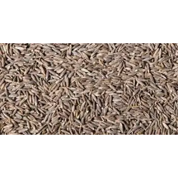 Qualitybest   Cumin Seeds